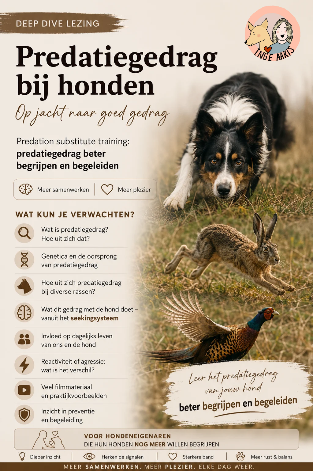 Predatiegedrag bij Honden (lezing)