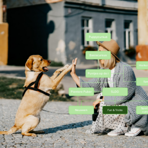 3. Fun & Tricks