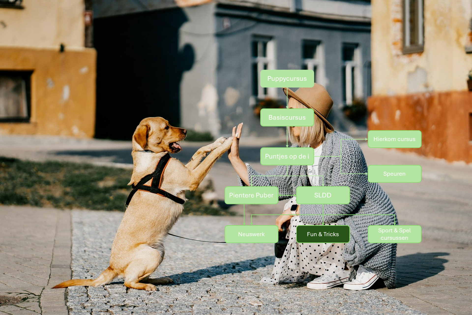 3. Fun & Tricks