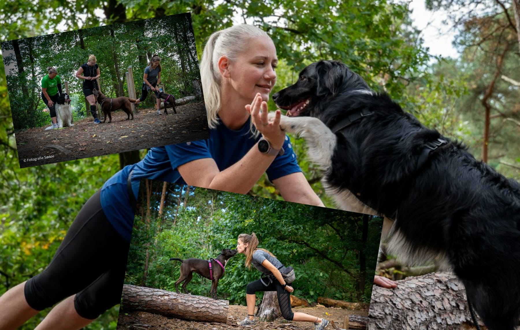 Bootcamp met je Hond